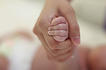 Close-up of adult hand holding baby's tiny hand