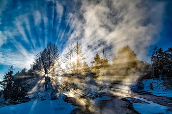 Sun rays through snowy trees in winter landscape