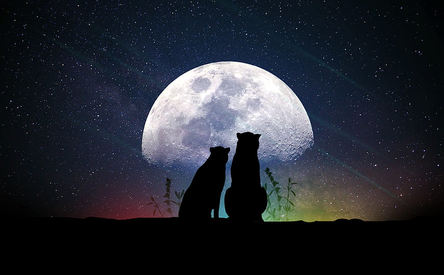 Silhouettes of two cats sitting under a giant full moon