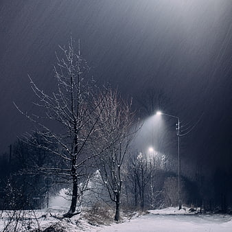 Snowy Night Street Scene with Streetlights and Bare Trees