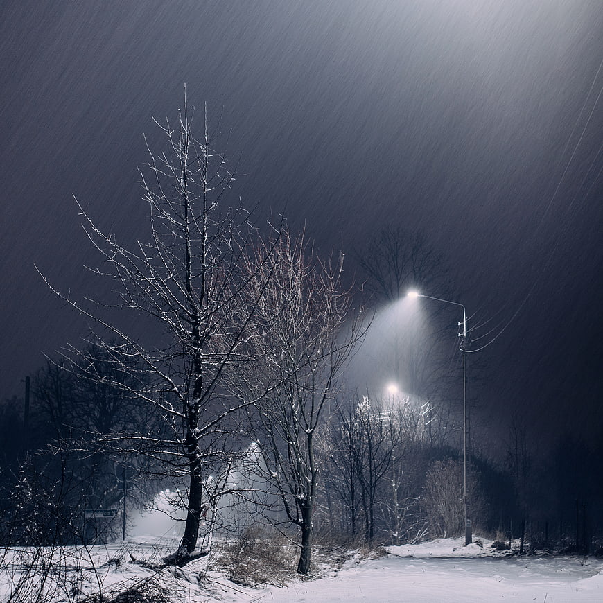 Snowy Night Street Scene with Streetlights and Bare Trees
