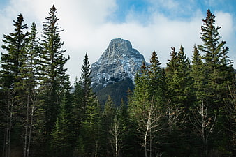 Majestic Rocky Mountain Peak Rising Above Evergreen Forest