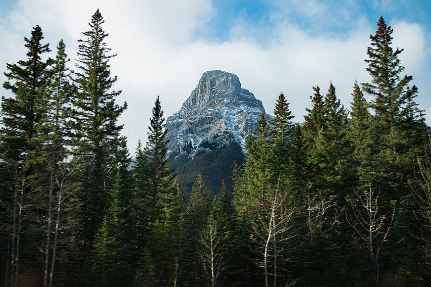 Majestic Rocky Mountain Peak Rising Above Evergreen Forest