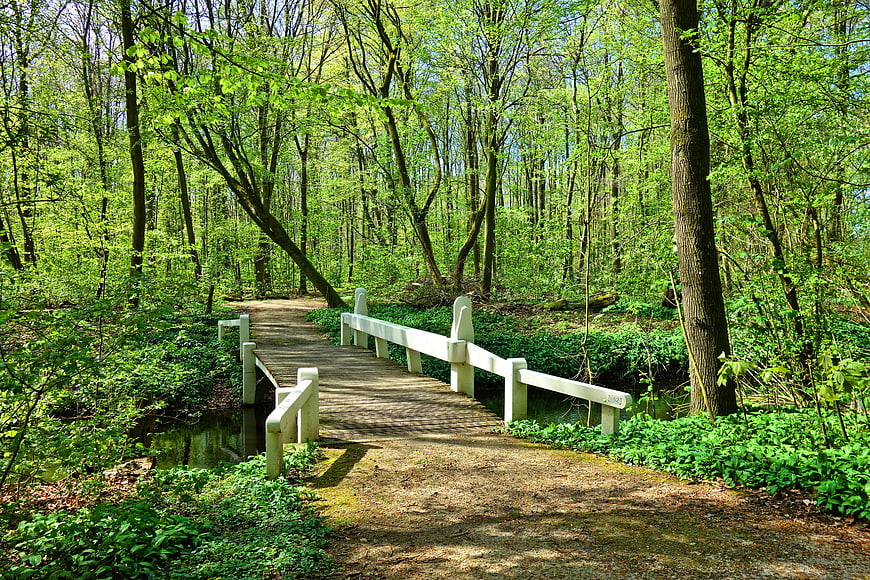 White wooden footbridge crossing a stream in a lush green spring forest
