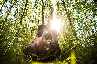 Acoustic Guitar in Sunlit Forest Grass