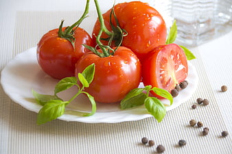 Fresh Red Tomatoes on Vine with Basil and Peppercorns