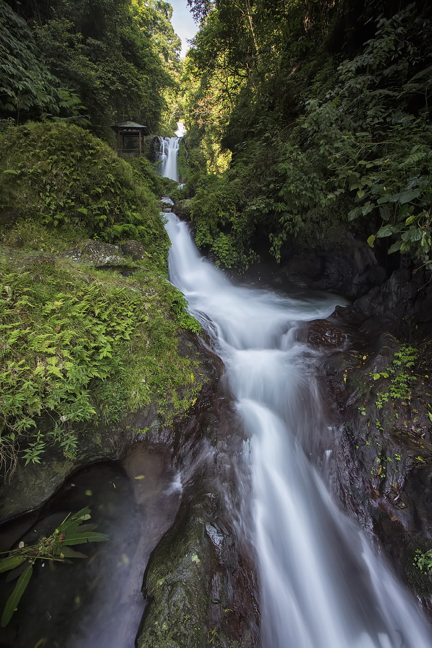 Serene Waterfall Flowing Through Lush Green Forest