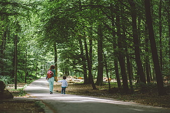Mother and Child Walking Hand in Hand on Forest Path