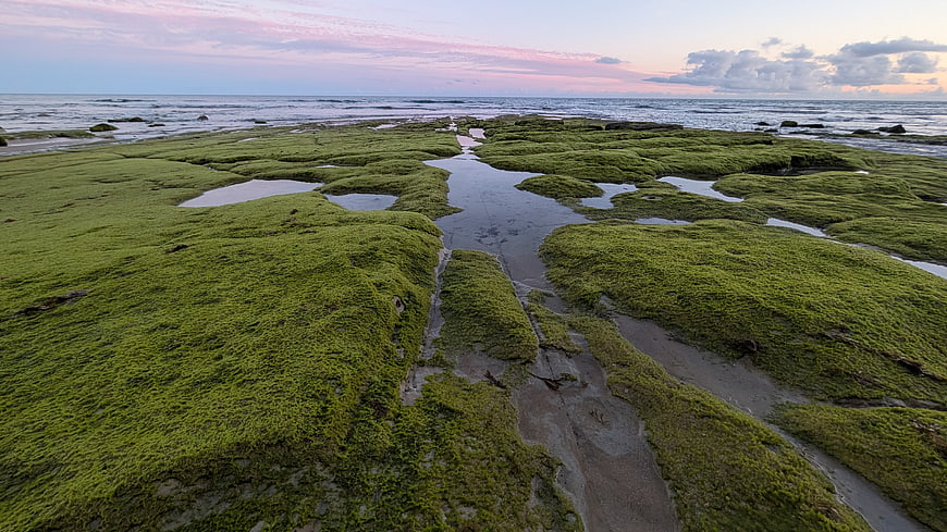 Mossy coastal rocks with tide pools at sunset
