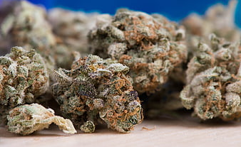 Close-up of dried cannabis buds on wooden surface