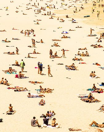 High Angle View of Crowded Sandy Beach with Sunbathers