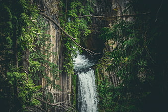 Majestic waterfall cascading through lush green forest canyon