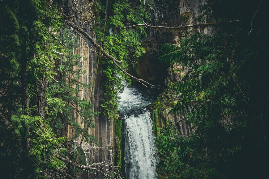 Majestic waterfall cascading through lush green forest canyon