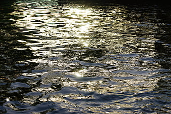 Golden sunlight reflecting on rippling water surface texture