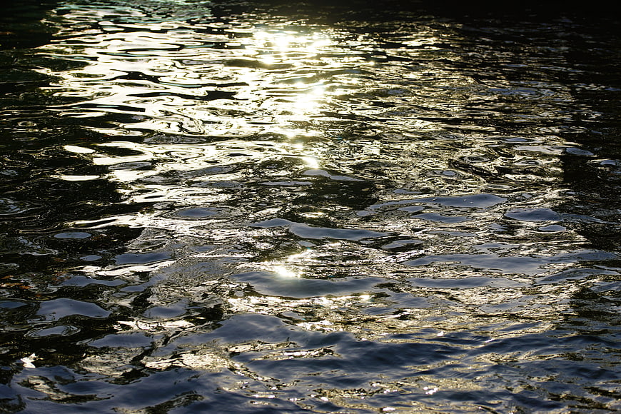 Golden sunlight reflecting on rippling water surface texture