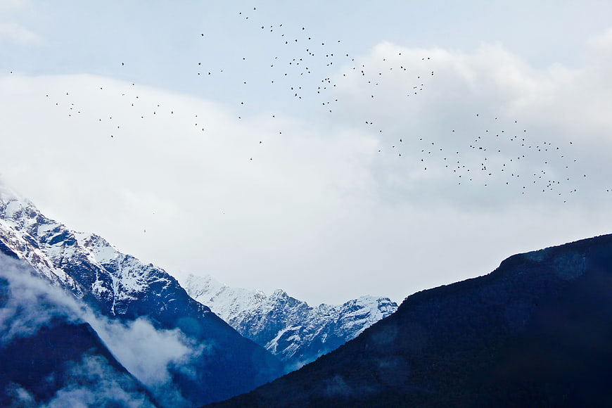 Snowy mountain peaks with flock of birds in cloudy sky