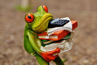 Cute ceramic frog figurine holding stack of books and calculator