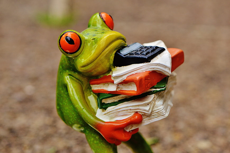 Cute ceramic frog figurine holding stack of books and calculator