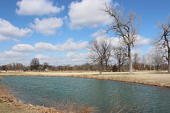 Serene pond in Forest Park, St. Louis with bare trees