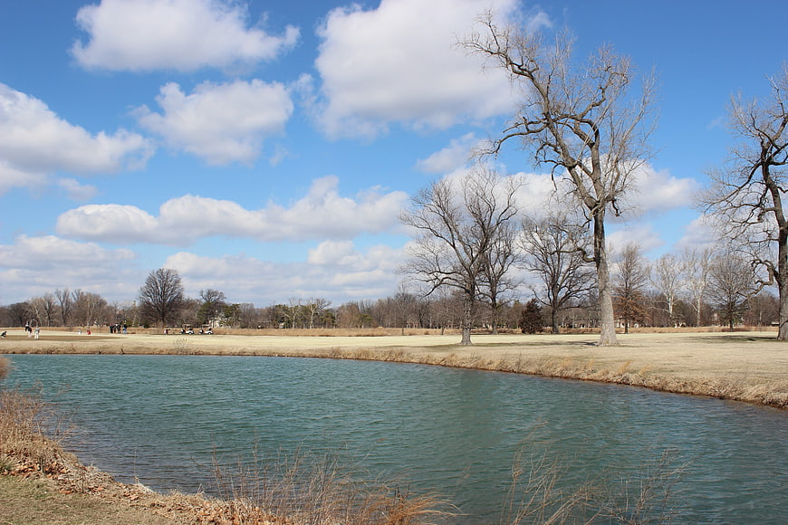Serene pond in Forest Park, St. Louis with bare trees