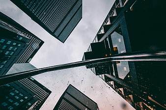 Low angle view of modern skyscrapers with rain reflection