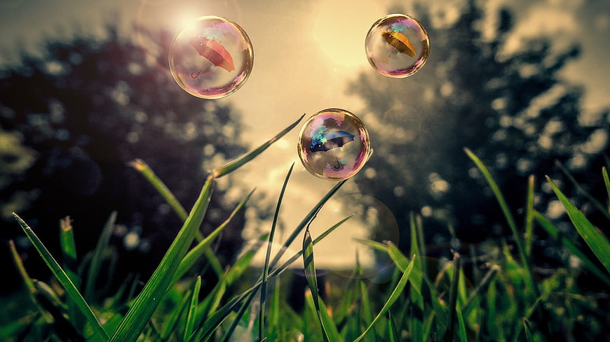 Magical soap bubbles with umbrellas floating over green grass