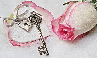 Vintage Key and Lock with Pink Rose on Snow