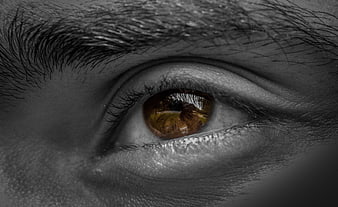 Close-up of human eye with selective color brown iris