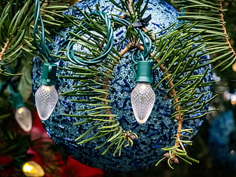 Close-up of Blue Christmas Ornament and Lights on Pine Tree