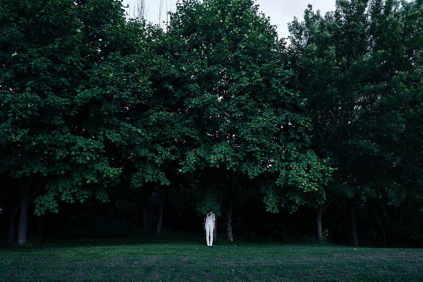 Lone figure in white standing under dark green trees