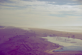 Wide Beach Landscape with Purple Tint and Distant People