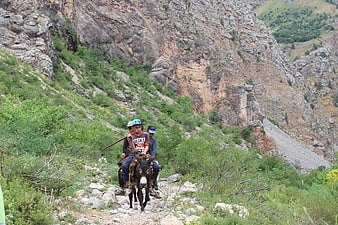 Children riding a donkey on a rocky mountain trail