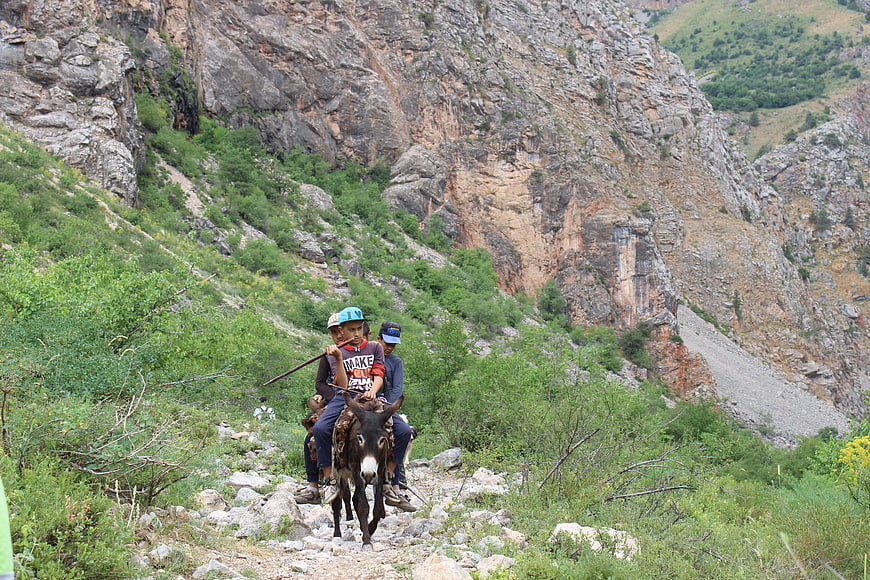 Children riding a donkey on a rocky mountain trail
