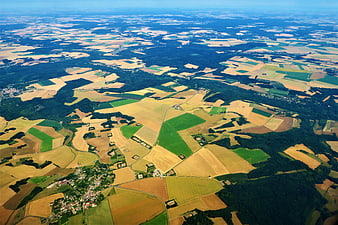 Aerial View of Patchwork Agricultural Fields and Forests