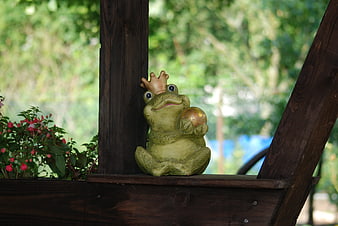 Cute frog statue with crown and golden egg on wooden shelf