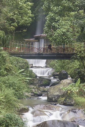 Scenic waterfall with bridge and lush green forest landscape