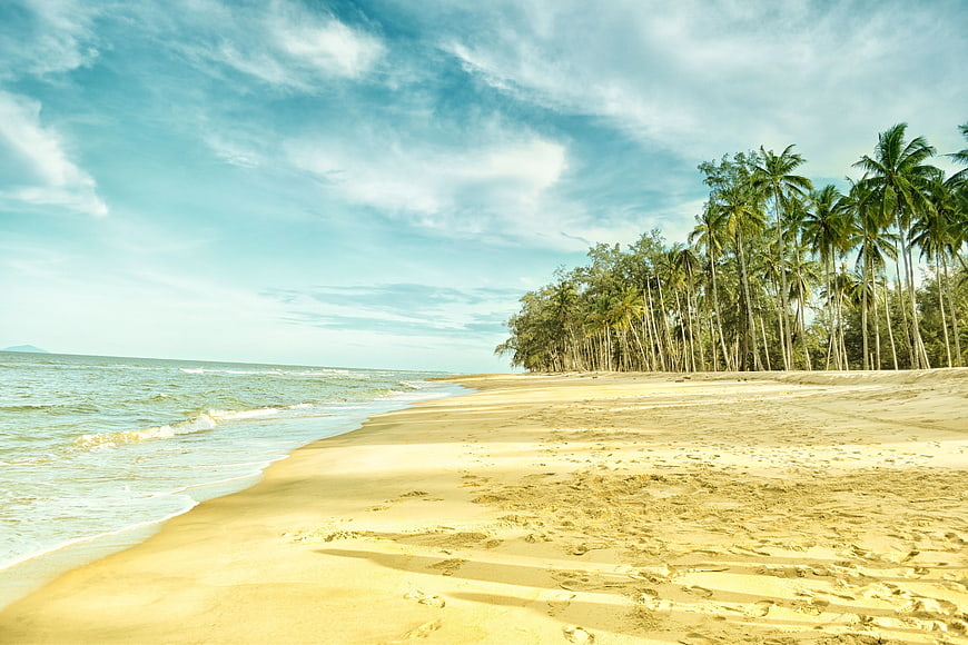 Tropical Beach with Palm Trees and Blue Sky