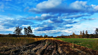Rural Landscape with Plowed Field and Dramatic Blue Sky