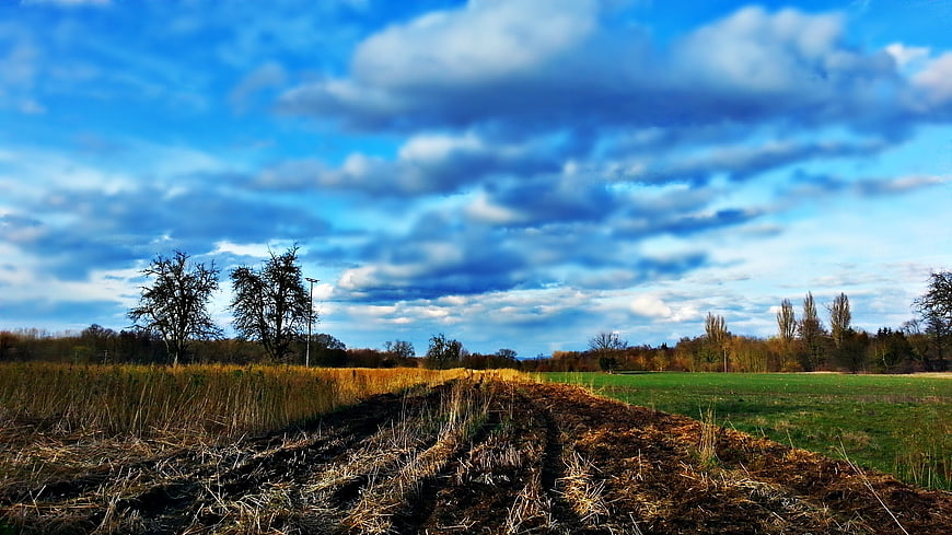 Rural Landscape with Plowed Field and Dramatic Blue Sky