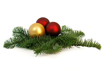 Christmas ornaments on fir branch with white background
