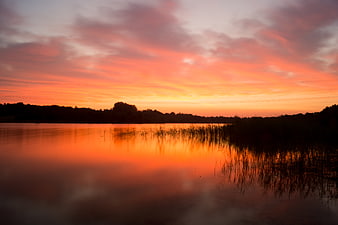 Vibrant orange sunset reflecting on calm lake with reeds