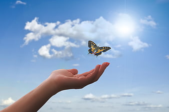 Butterfly flying above open hand against blue sky with clouds