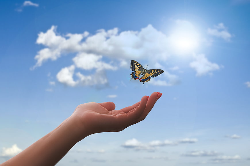 Butterfly flying above open hand against blue sky with clouds