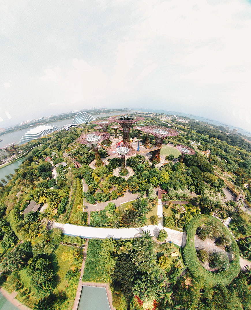 Aerial fisheye view of Gardens by the Bay Singapore Supertrees