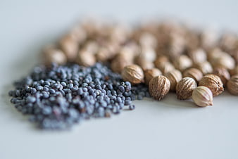 Close-up of Blue Poppy Seeds and Cardamom Pods