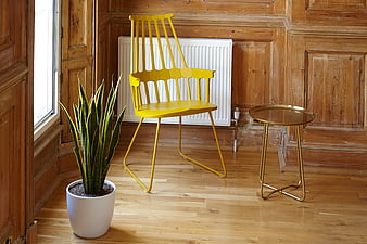 Modern Yellow Chair in Wood Paneled Room with Plant