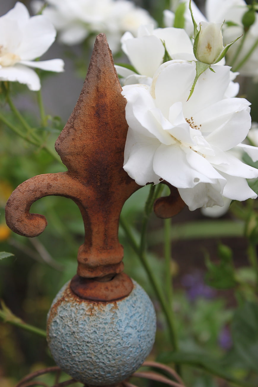 White rose blooming beside rusty garden finial