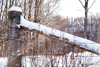 Snow-covered wooden fence post in winter forest landscape