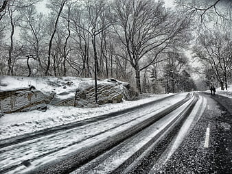 Snowy Road in Central Park with Walking Silhouettes