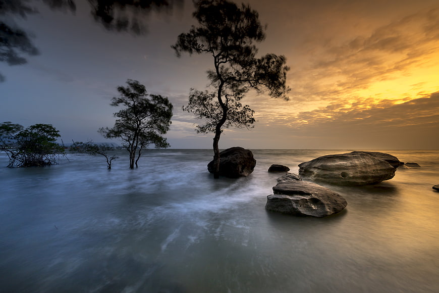 Dramatic Sunset Over Rocky Shoreline with Silhouetted Trees